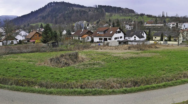 Das geplante Baugebiet Erlenweg in Sulzburg ist umstritten.   | Foto: mnch