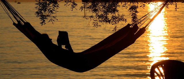 Endlich wieder Sommer tanken: Einen Vo...ack gibt es bei der Messe in Mulhouse.  | Foto: dpa