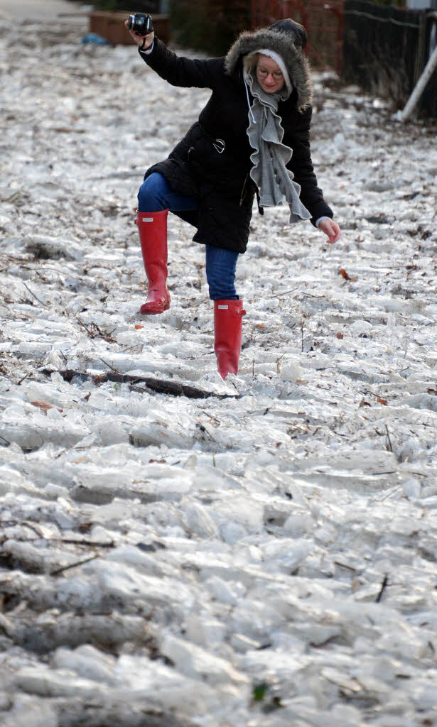 Das Hochwasser der Elbe am Morgen trieb zahlreiche Eisschollen an Land