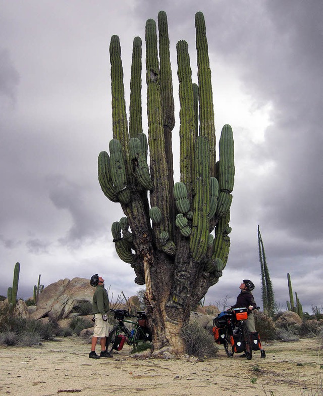 Naturphnomene wie dieser Kaktus laden zum Absteigen ein.  | Foto: ZVG