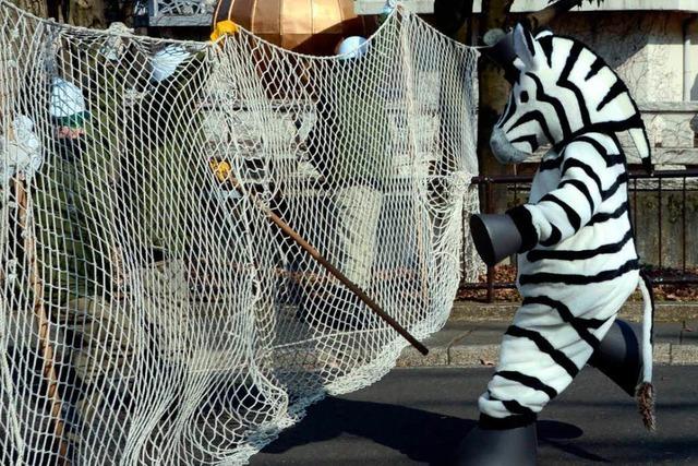 Zoo probt Ausbruch eines Zebras – mit einem Wärter im Kostüm