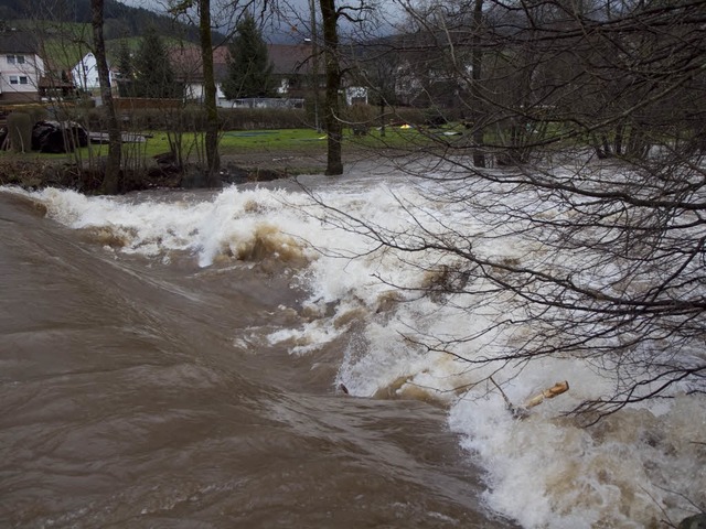 Hochwasser im oberen Elztal  | Foto: Daniel Fleig