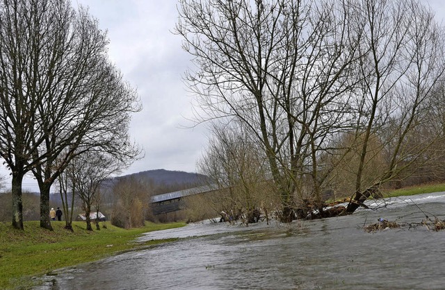 Das derzeitige Hochwasser der Wiese ve...cke ins Grtt einmal aussehen knnte.   | Foto: Willi Adam