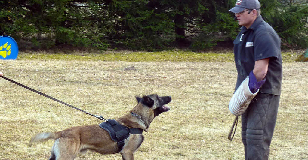 Hundetraining mit dem Weltmeister - Schopfheim - Badische Zeitung