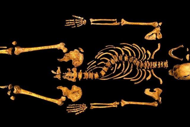 Fotos: Skelett von Richard III. in London entdeckt