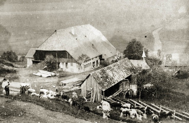Steinbachhof um 1900 mit Sgemhle (vo...e und Getreidespeicher (rechts unten).  | Foto: Privat