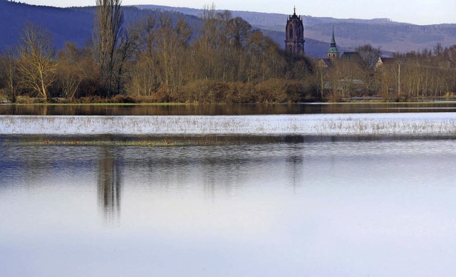 Im Grand Ried bei Schlettstadt bot sic...Wasserflche &#8222;gigantisch&#8220;.  | Foto: Axel Mayer