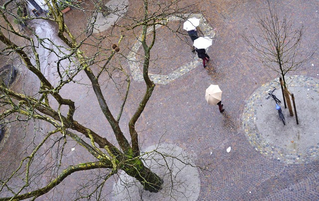 Kleine Bume ersetzen groe Bume: Der...tz verndert ber Jahre sein Gesicht.   | Foto: Willi Adam