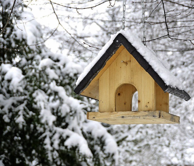   | Foto: Redaktion Schopfheim