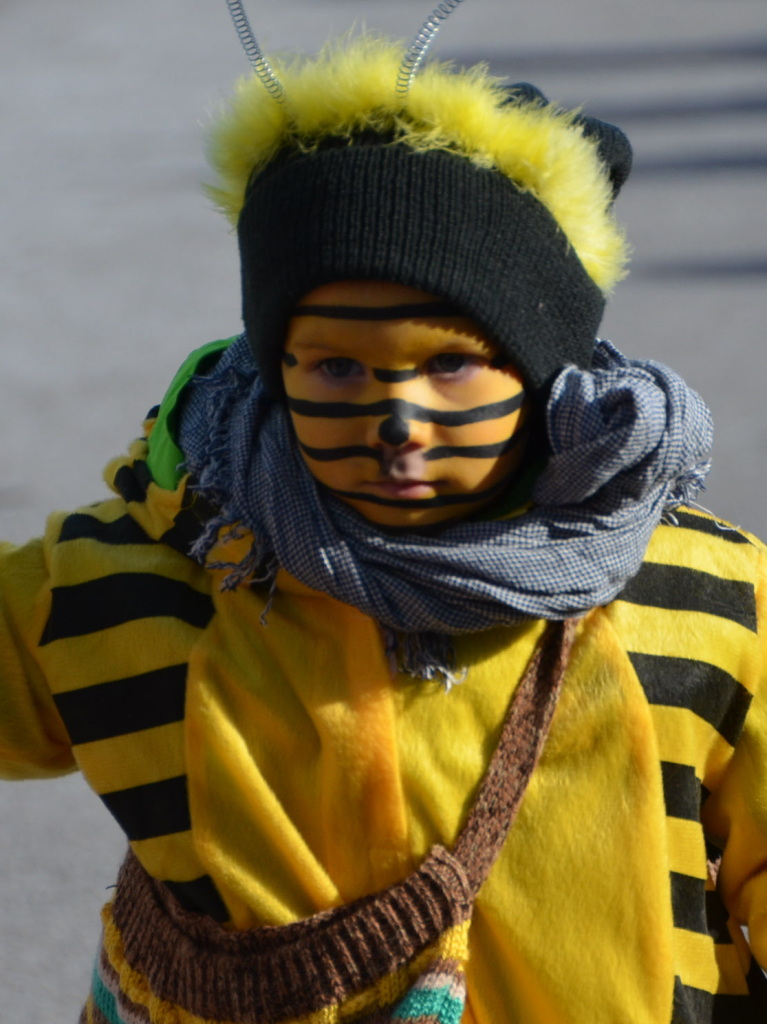 In fantasievollen Kostmen zogen groe und kleine Narren am Sonntag beim Kinderumzug durch die Stadt.