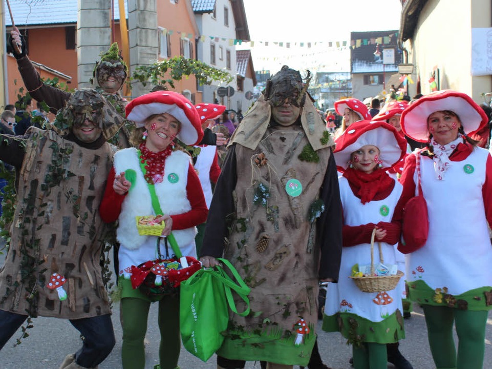 Die Waldpilze  | Foto: Mario Schneberg