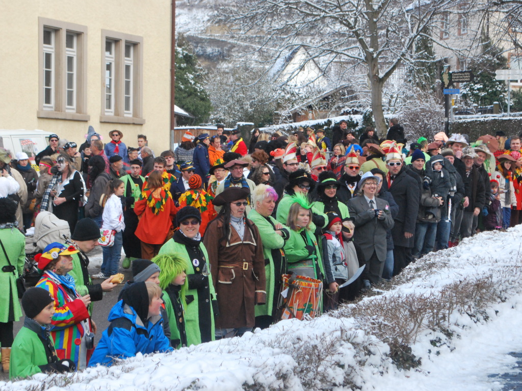 Impressionen vom Vogtsburger Narrentreffen in Achkarren