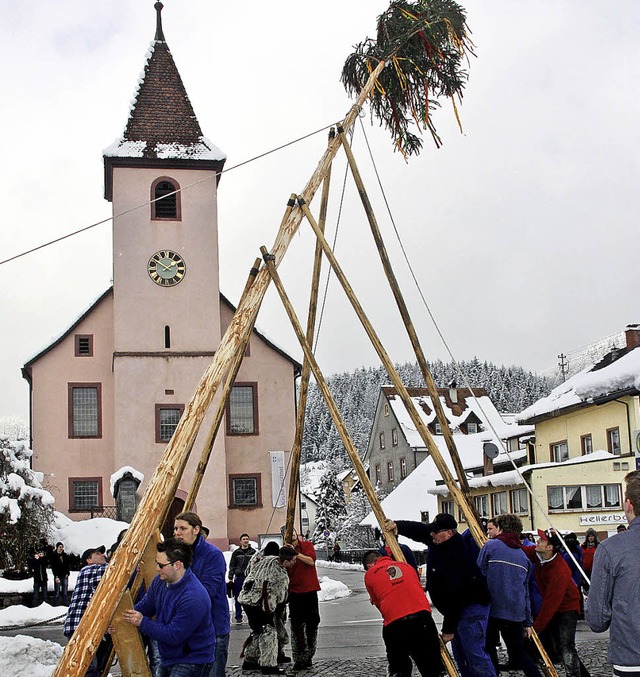 Der Narrenbaum wurde auf dem Hasler Do... fr die bevorstehende Buurefasnacht.   | Foto: Heiner Fabry