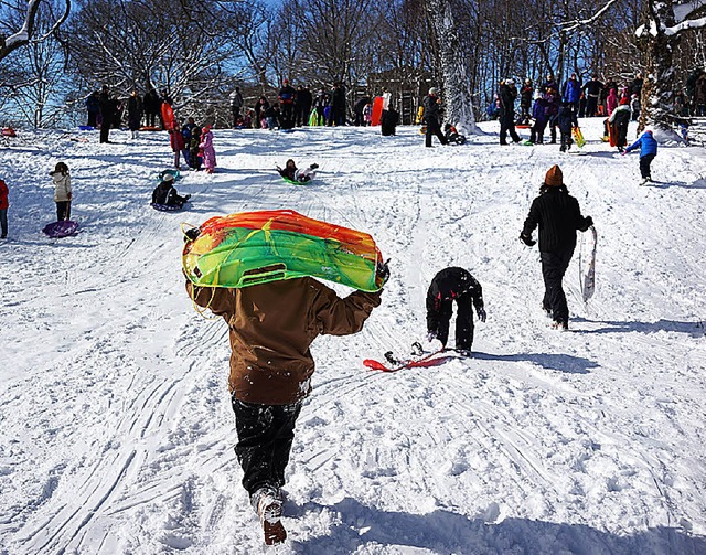 Sonntagsvergngen im Prospect Park im New Yorker Stadtteil Brooklyn   | Foto: AFP