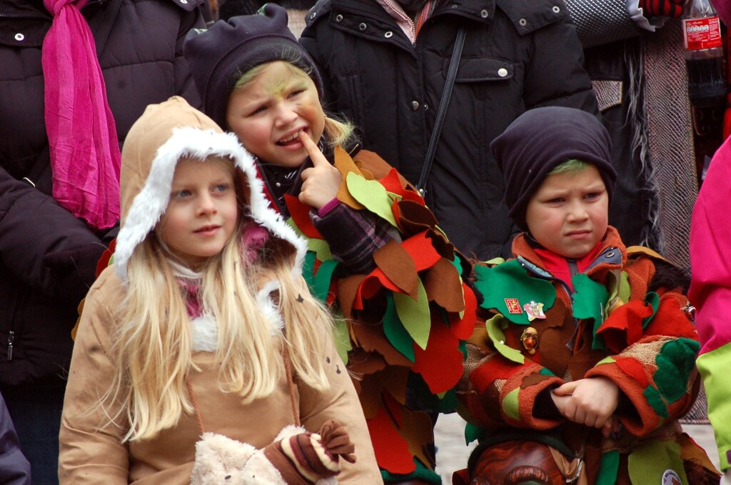 Impressionen vom Narresamschdig 2013 in Bad Sckingen