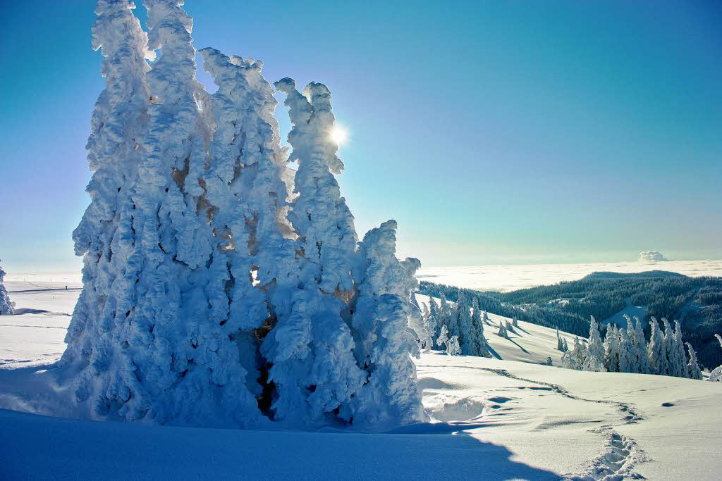 Der Feldberg von seiner schnsten Seite