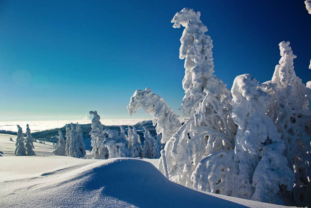 Der Feldberg von seiner schnsten Seite