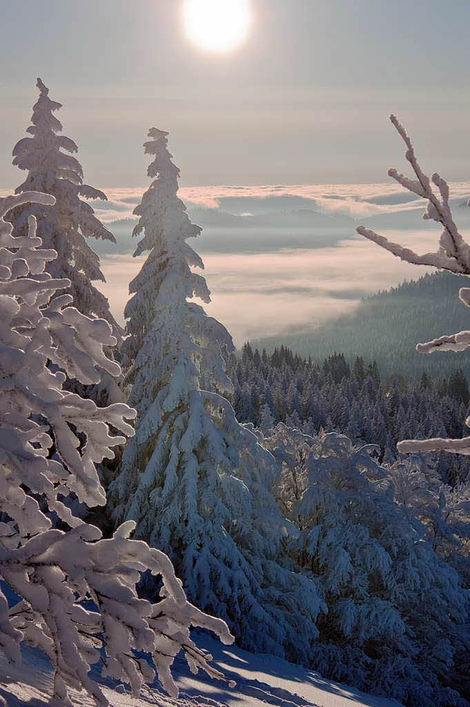 Der Feldberg von seiner schnsten Seite