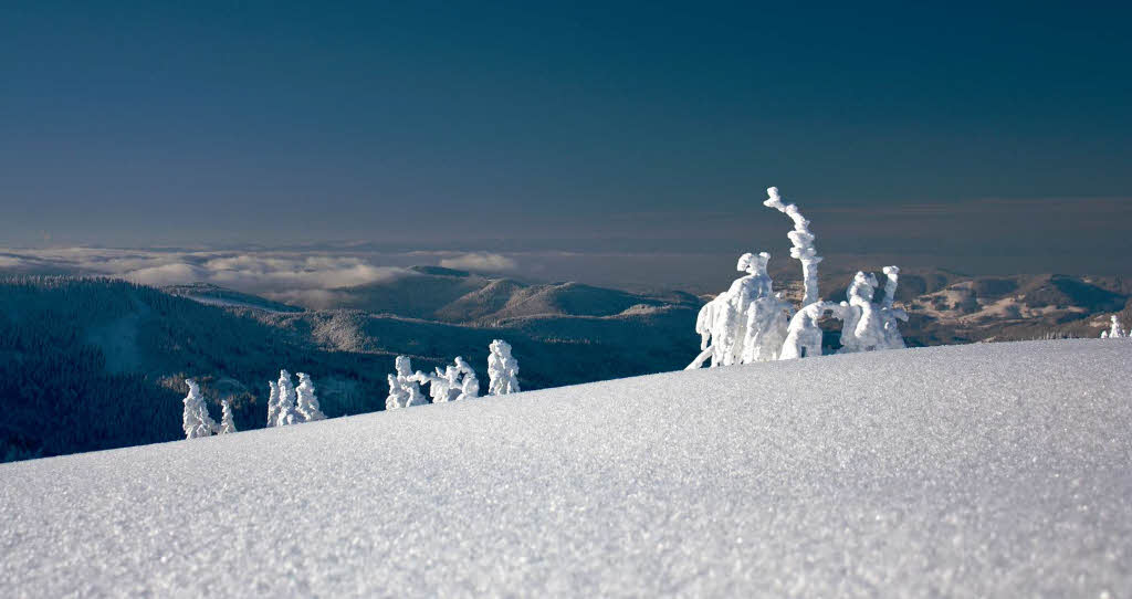 Der Feldberg von seiner schnsten Seite