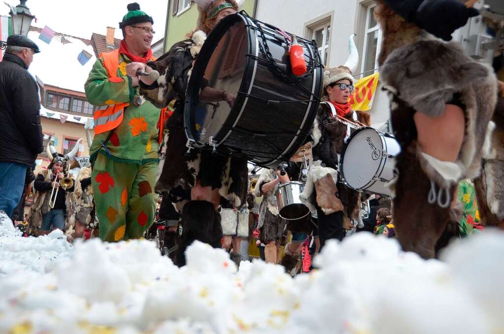 Fasnachtsmndig Umzug Bad Sckingen 2013