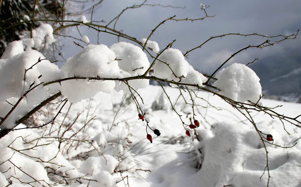 Nicht nur Fastnacht ist schn: Winter in Waldkirch und im Kohlenbacher Tal