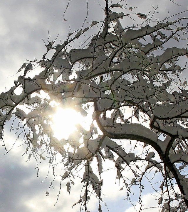 Nicht nur Fastnacht ist schn: Winter in Waldkirch und im Kohlenbacher Tal  | Foto: Stefanie Sigmund