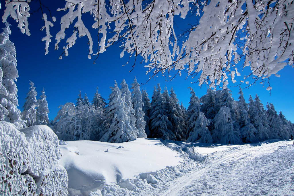 Immer fr spektakulre Winterbilder gut: der Schauinsland.