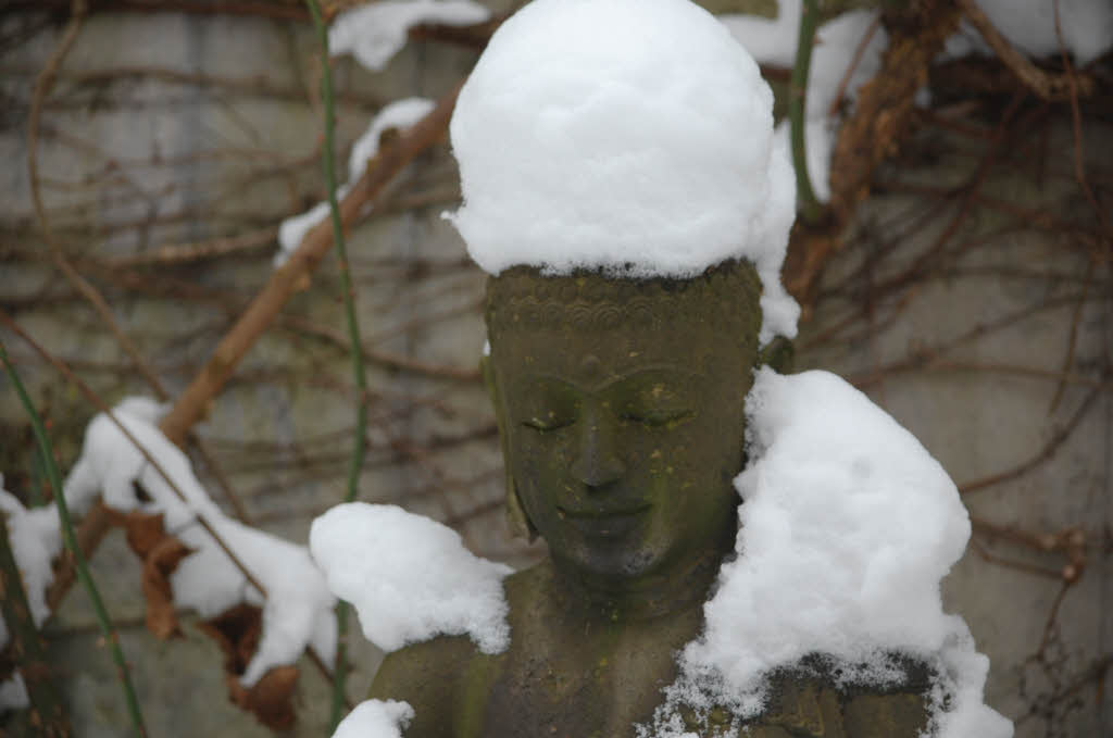 Winterlicher Buddha im Garten in Herdern