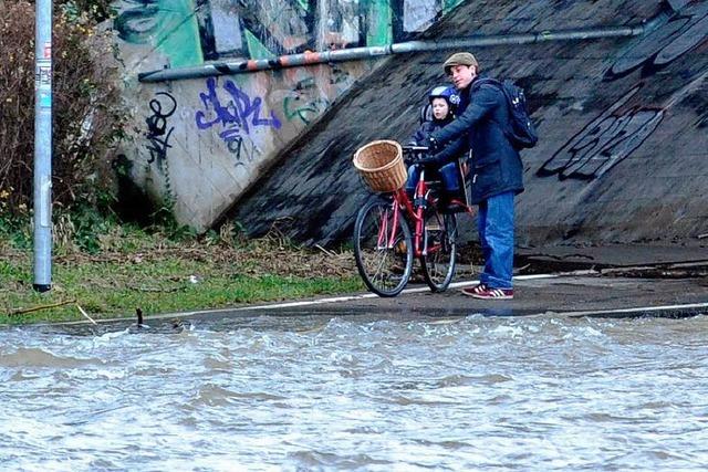 Dreisam-Hochwasser – knnten Schranken oder ein Gelnder hilfreich sein?