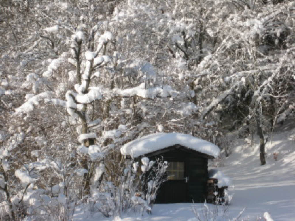 Winter in Lenzkirch