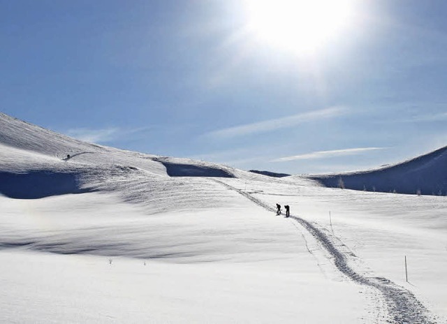 Winterfreuden: zwei einsame Skiwanderer im Schnee   | Foto: dpa (2)/BZ