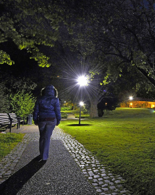 Leuchtdioden von Hess erhellen Stadtgarten und Mnster.    | Foto: bamberger