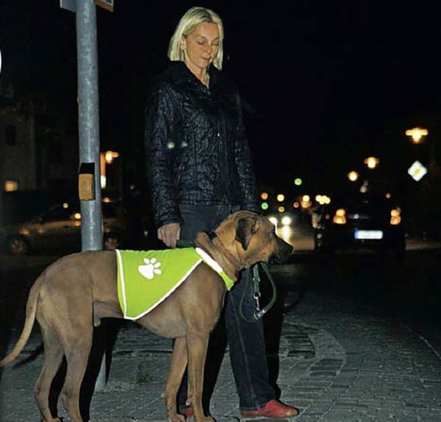 Hund mit refletierender Jacke  | Foto: FRESSNAPF
