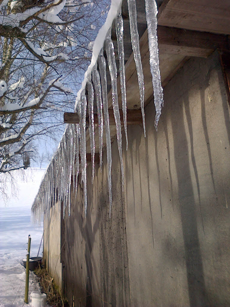 Aufgereiht: Eiszapfen bei  Neuhuser nahe Freiburg-Kappel