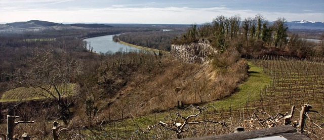 Einblicke in die  Geologie des Kaisers...ogramms des Naturzentrums Kaiserstuhl.  | Foto: Archivfoto: Martin Wendel