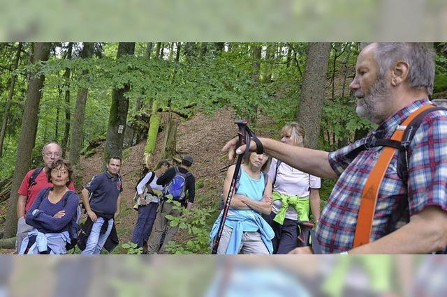 Wanderungen fhren will gelernt sein