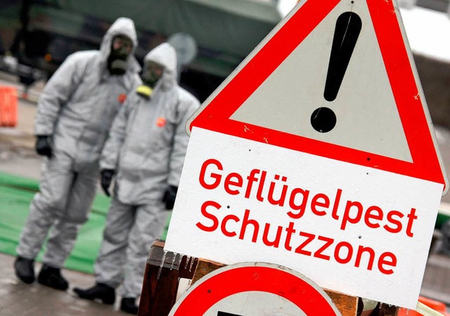 Zuletzt wurde das gefhrliche Virus in...en. Jetzt gibt es offenbar neue Flle.  | Foto: dpa