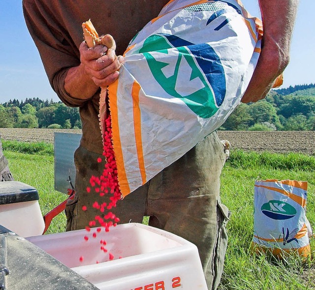 Sorglos war vor dem Bienensterben (Fot...nidin) von Bayer behandelt worden war.  | Foto: Siegfried Gollrad