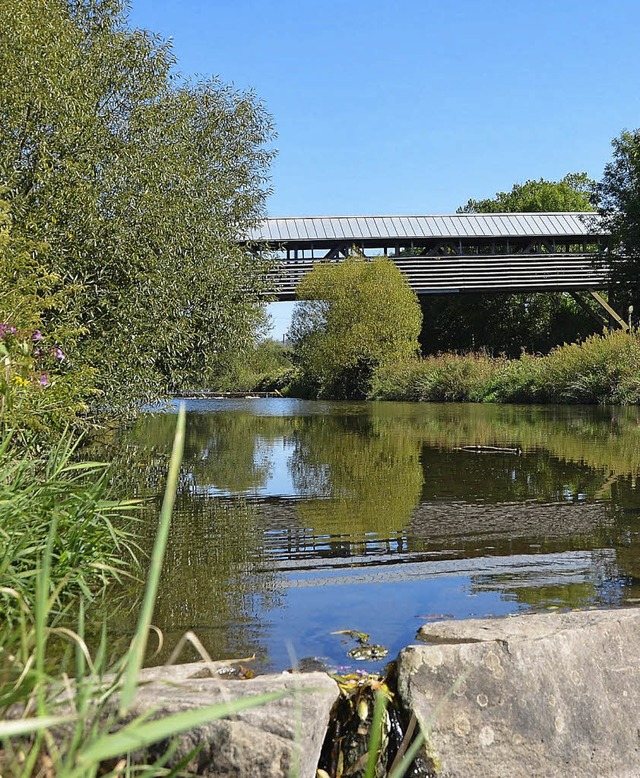 Auch bei der Vernderung  des Wiese-Um...r Gestaltungsbeirat ein Wrtchen mit.   | Foto: Kubon