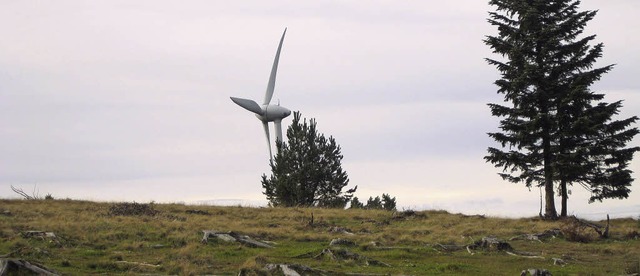 Die Windkraftanlage in Yach. Schon in ...meindeverwaltungsverband Elzach geben.  | Foto: Thomas Steimer