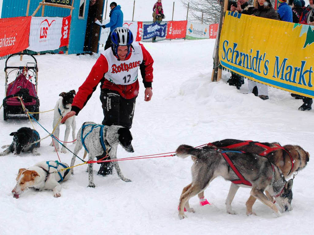 Impressionen vom Todtmooser Schlittenhunderennen