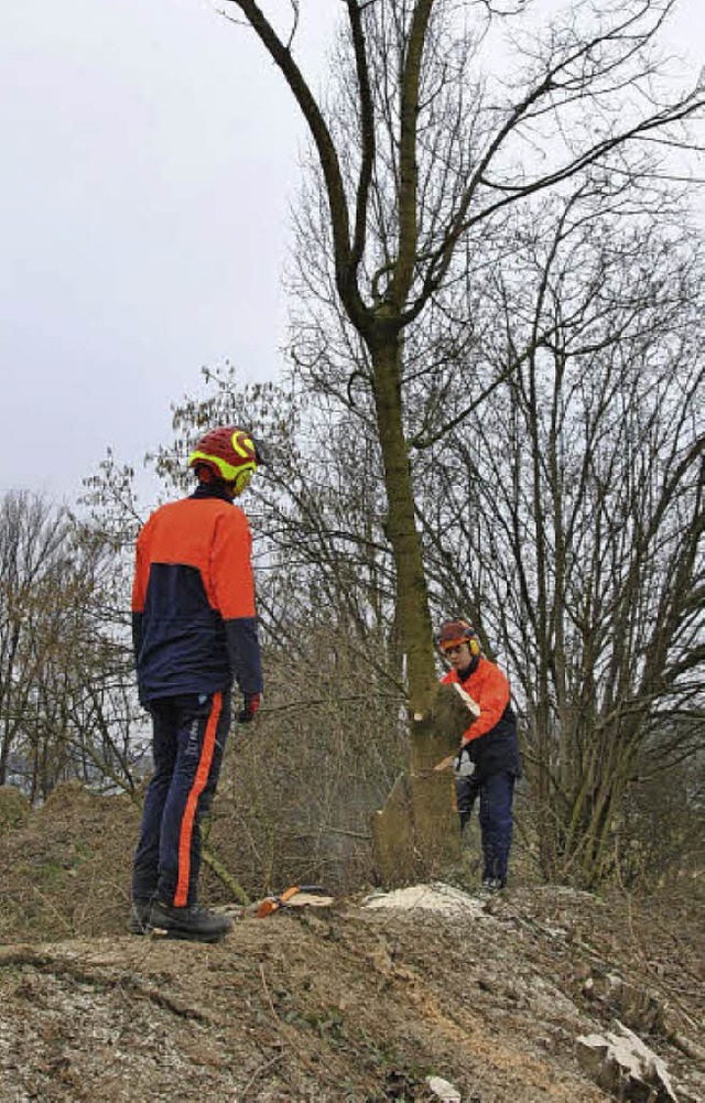 Die Initiativgruppe, Mitglieder des Ju...bereiten das Terrain fr den Funpark.   | Foto: Fautz