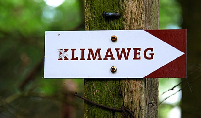 Der Klimaweg hat dem Schwarzwaldverein Schopfheim sehr gut gefallen.   | Foto: archivfoto: Ralf Staub