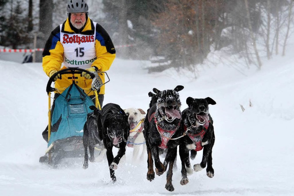 Mensch und Tier im Schnee: Das Schlittenhunderennen in Todtmoos (Foto: Andrea Schiffner) Mensch und Tier im Schnee: Das Schlittenhunderennen in Todtmoos (Foto: Andrea Schiffner)