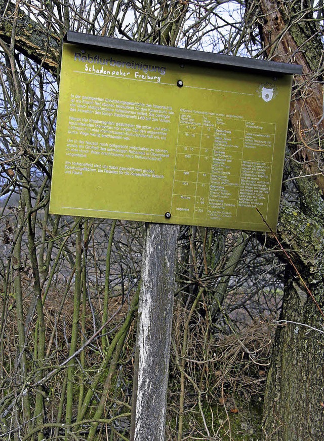 Es braucht ein gebtes Auge, um die ve...tes sollen die Tafeln erneuert werden.  | Foto: herbert trogus