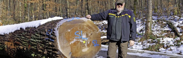 Revierleiter Rudolf Bckert mit dem st...ch zu edlem Furnier verarbeitet wird.   | Foto: Privat