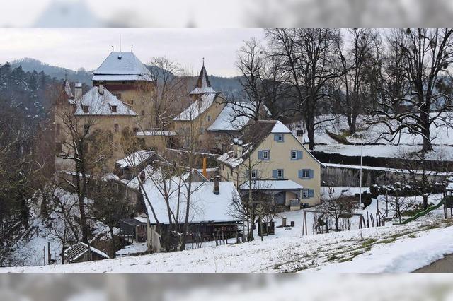 Am Sonntag entscheidet sich, ob Baselland seine Schlsser verkaufen darf