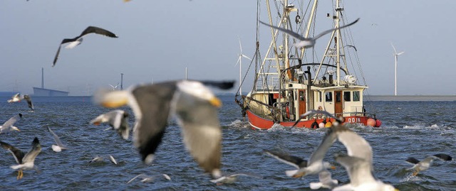 Vom Menschen berstrapaziertes kosystem: das Meer  | Foto: DPA