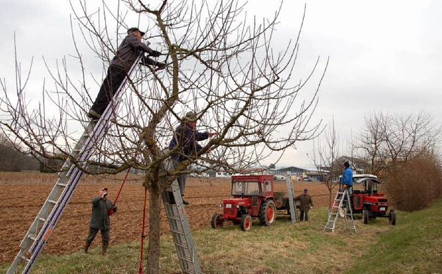 Oft im Einsatz und hoch hinaus: Die Mi...sich auch jetzt wieder an die Arbeit.   | Foto: Pia Grttinger