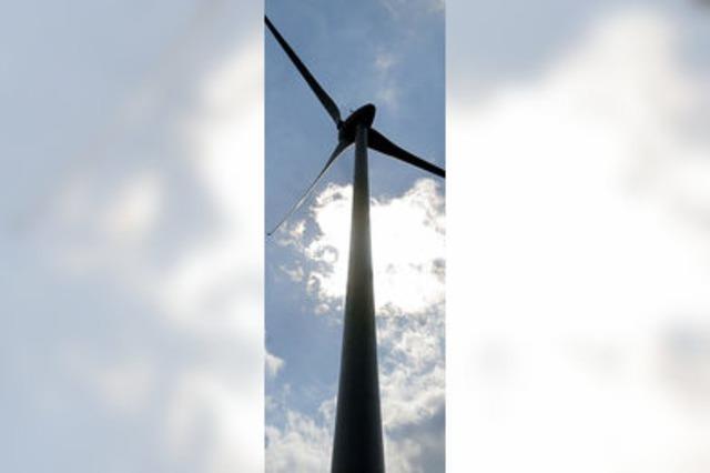 Zugvögel contra Windkraft